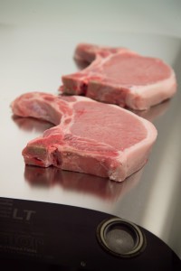 食品加工传送带